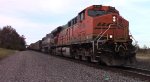 BNSF coal train